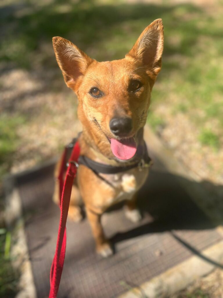 multimedia-foto94048-169-1