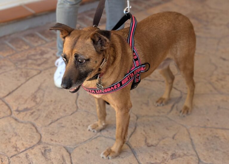 multimedia-foto94050-819-1