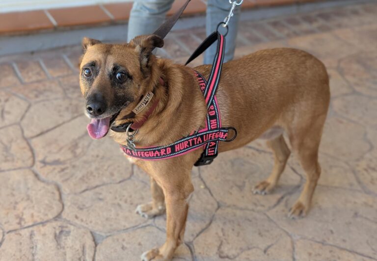 multimedia-foto94051-819-1