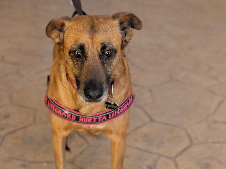 multimedia-foto94052-819-1