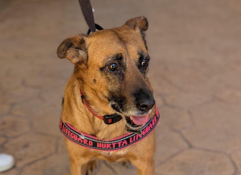 multimedia-foto94053-820-1