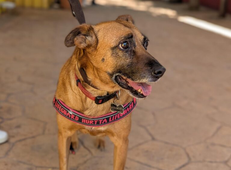 multimedia-foto94054-820-1