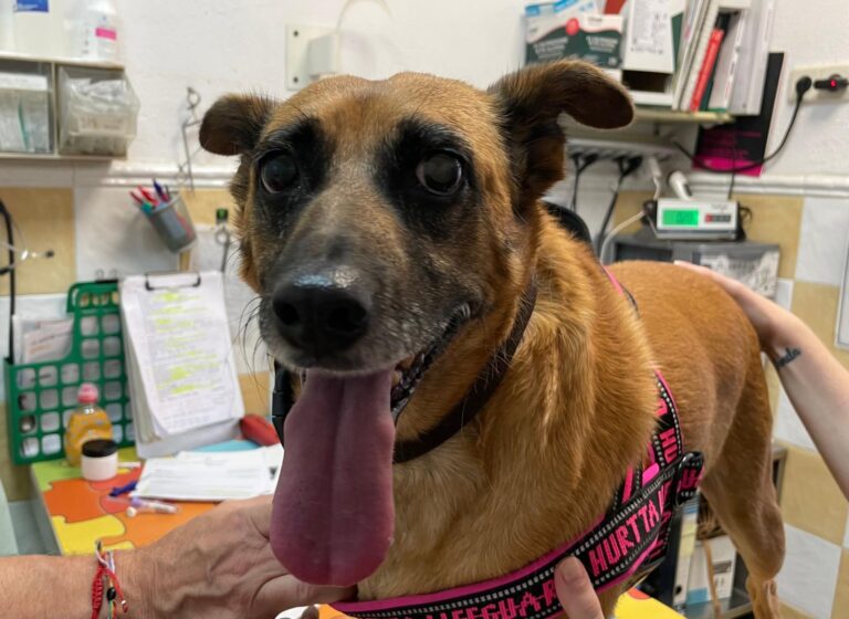 multimedia-foto94055-820-1