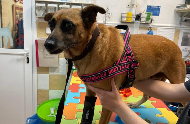 multimedia-foto94056-820-1