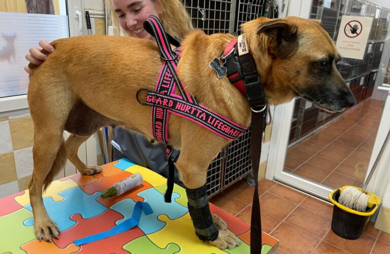 multimedia-foto94057-821-1