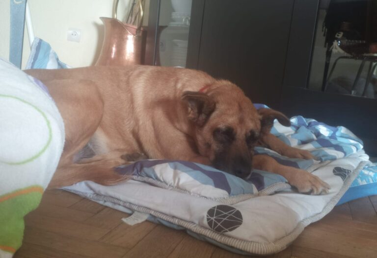 multimedia-foto94059-821-1