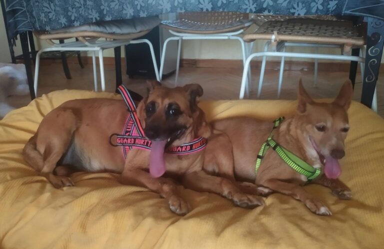 multimedia-foto94060-906-1