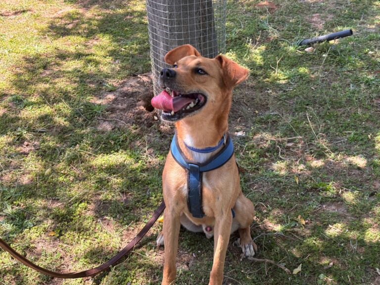 multimedia-foto94097-35-1