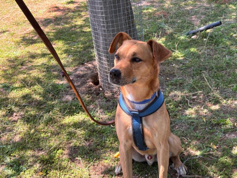 multimedia-foto94098-35-1