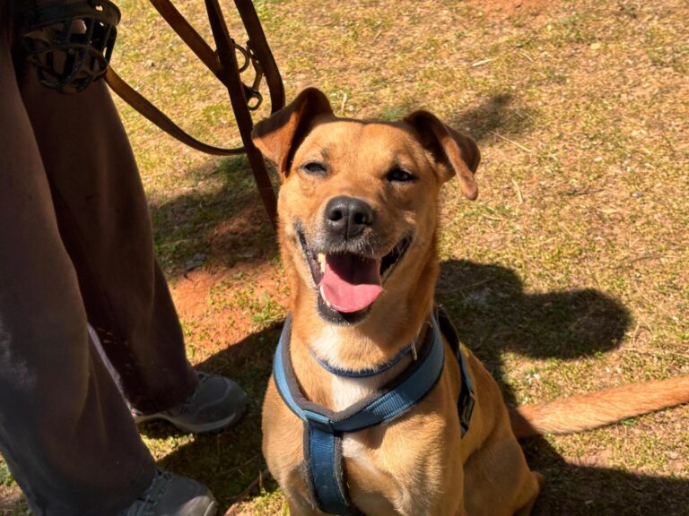 multimedia-foto94101-36-1