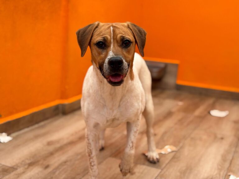 multimedia-foto94102-316-1