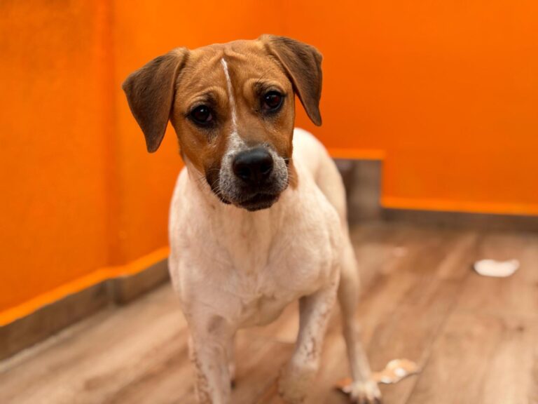 multimedia-foto94103-317-1