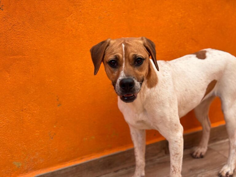 multimedia-foto94104-317-1