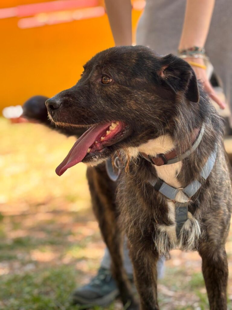 multimedia-foto94106-870-1