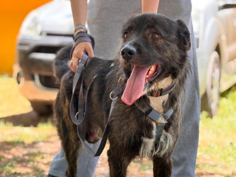 multimedia-foto94107-870-1