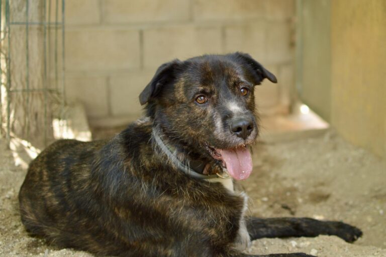 multimedia-foto94119-965-1