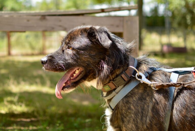 multimedia-foto94121-966-1