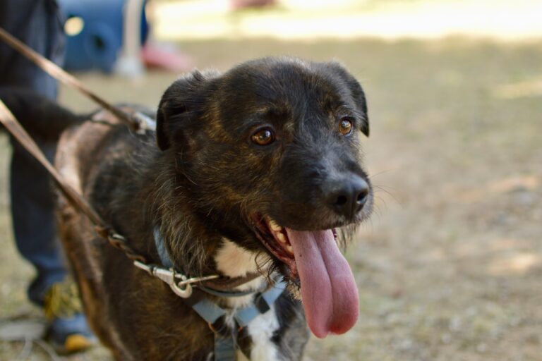 multimedia-foto94122-967-1