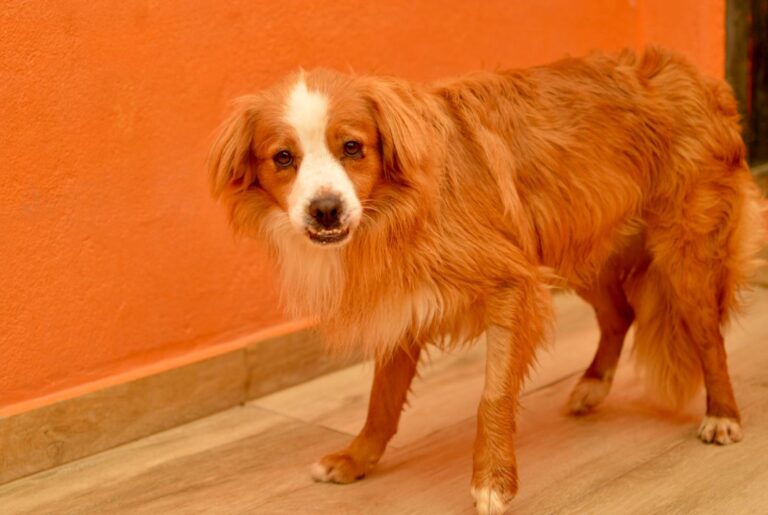 multimedia-foto94123-11-1