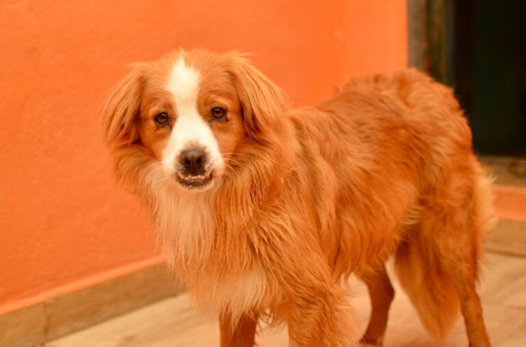 multimedia-foto94124-12-1