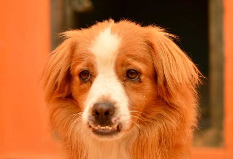 multimedia-foto94125-12-1