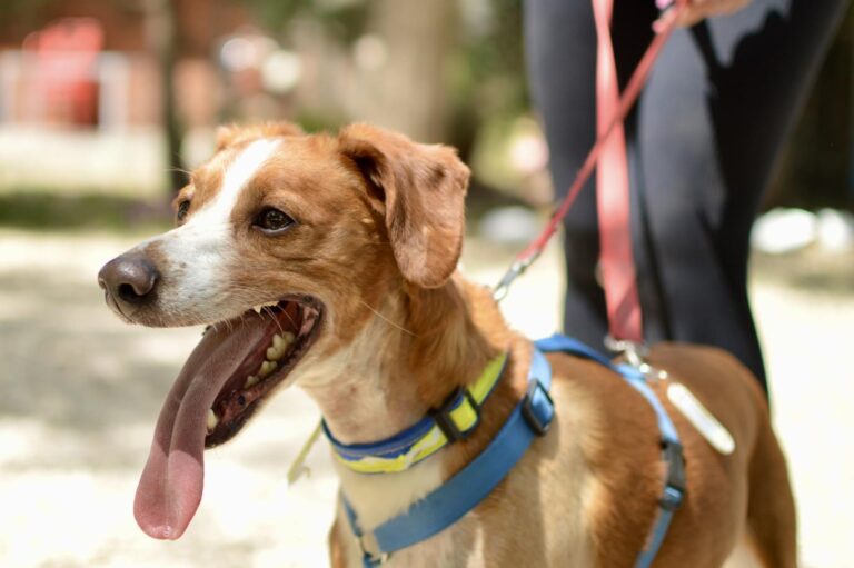 multimedia-foto94130-107-1