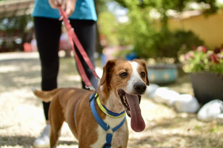 multimedia-foto94131-107-1