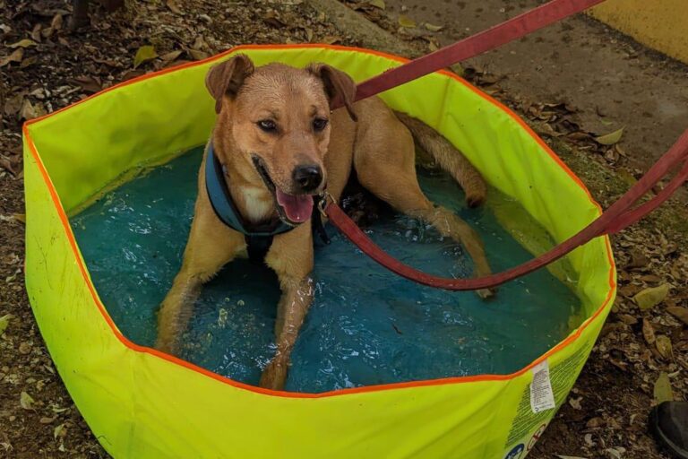 multimedia-foto94133-151-1