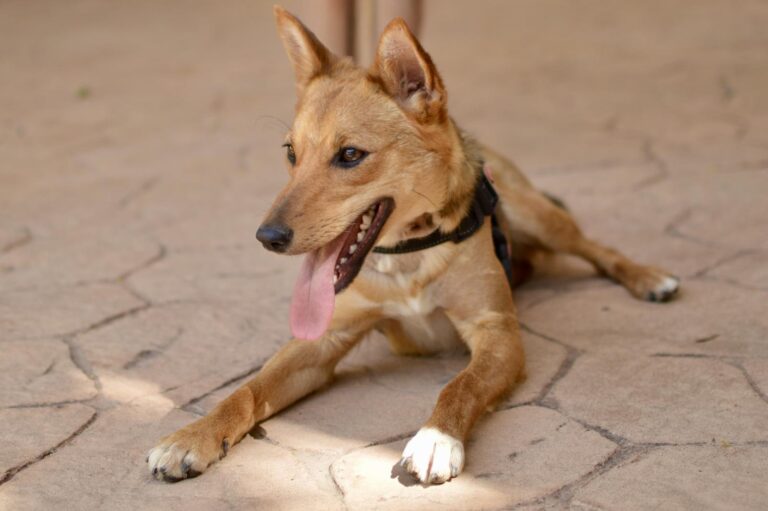 multimedia-foto94136-262-1