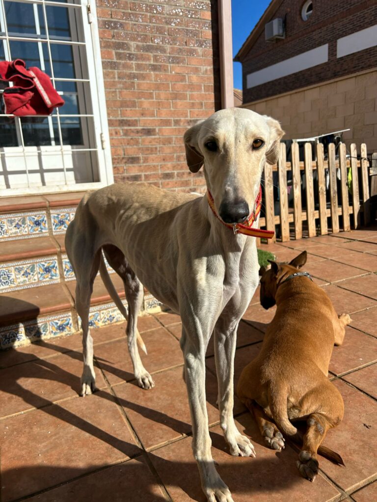 multimedia-foto94139-750-1