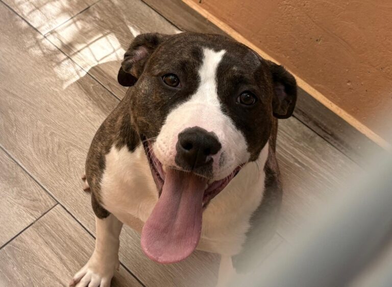 multimedia-foto94141-870-1