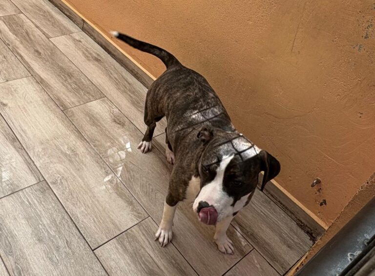 multimedia-foto94142-871-1