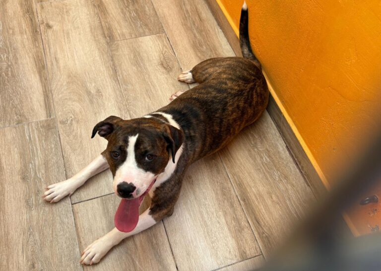 multimedia-foto94143-871-1