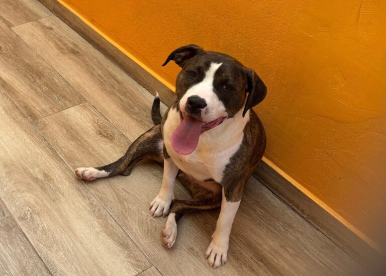 multimedia-foto94144-872-1