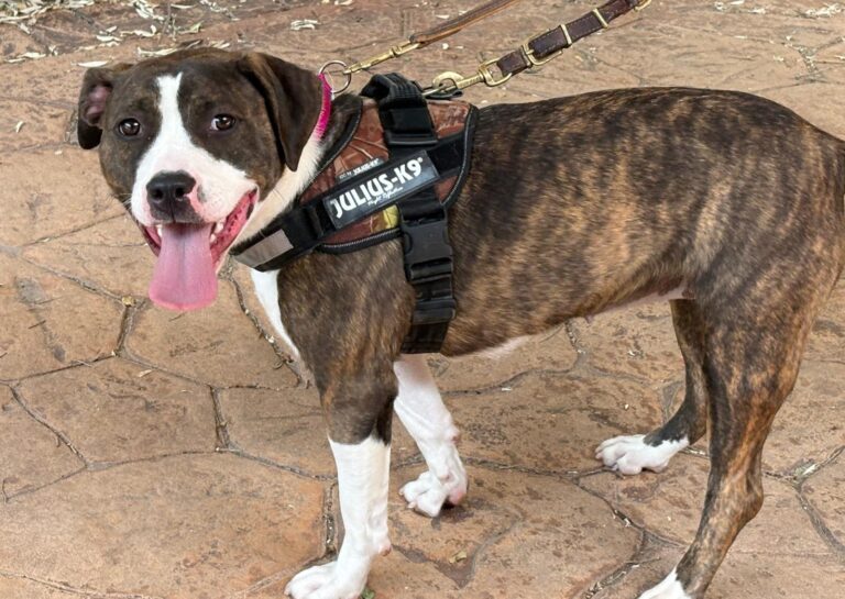 multimedia-foto94145-872-1