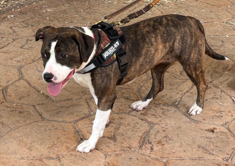 multimedia-foto94147-873-1