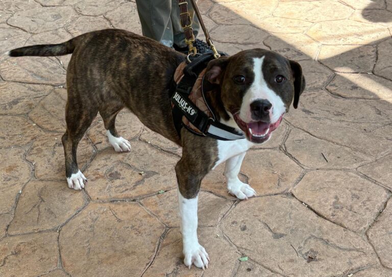 multimedia-foto94148-873-1