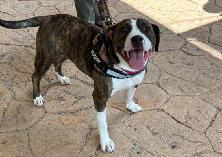 multimedia-foto94149-873-1