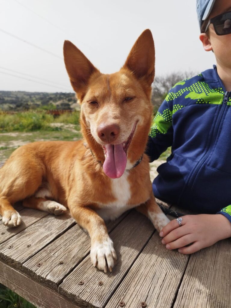 multimedia-foto94159-853-1