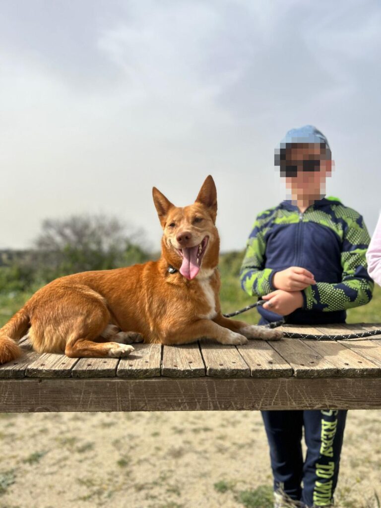 multimedia-foto94161-854-1