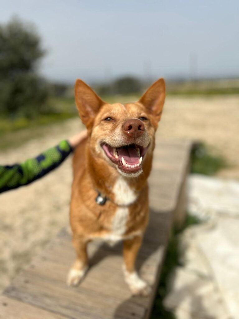 multimedia-foto94162-854-1