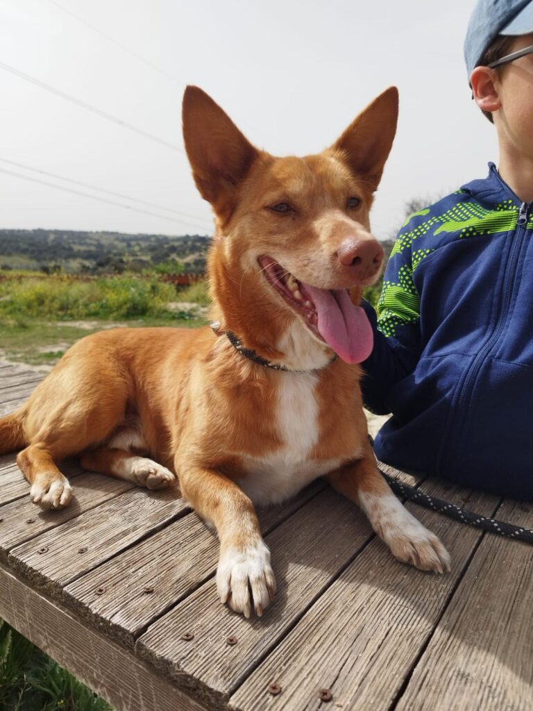 multimedia-foto94163-854-1