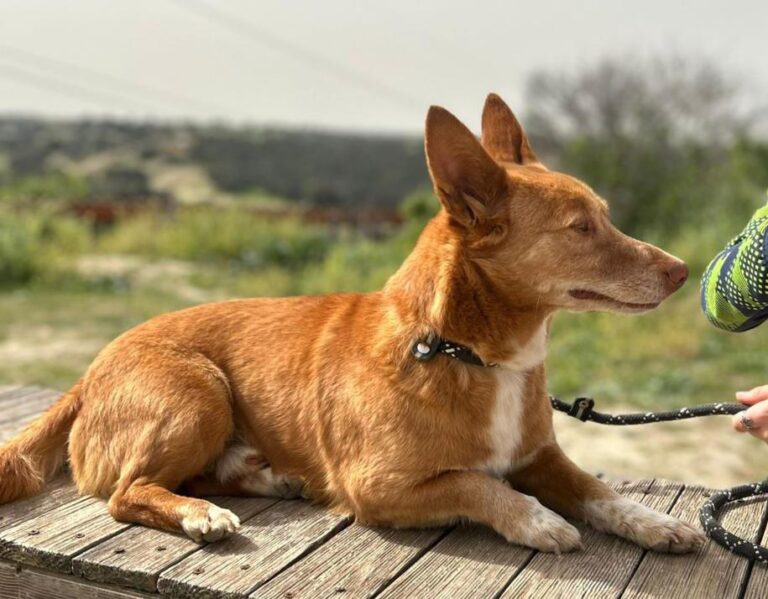 multimedia-foto94164-855-1