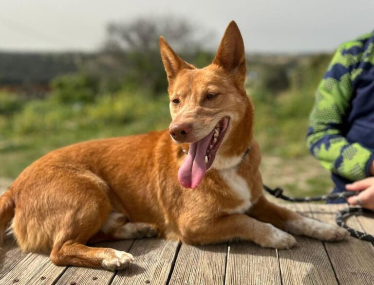 multimedia-foto94165-855-1