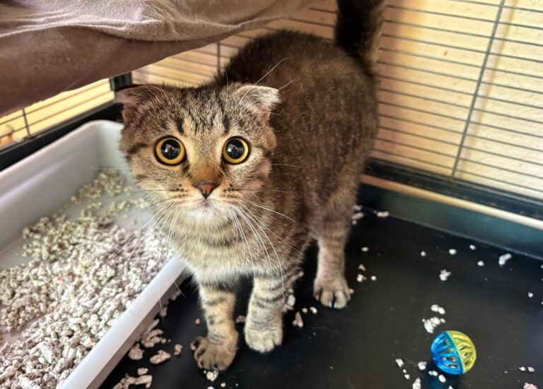 multimedia-foto94174-61-1