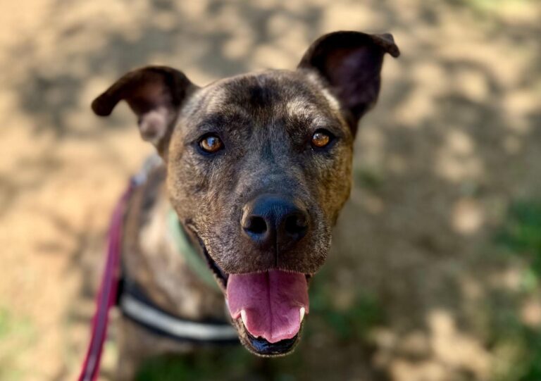 multimedia-foto94182-777-1