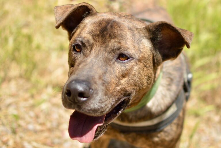 multimedia-foto94183-778-1