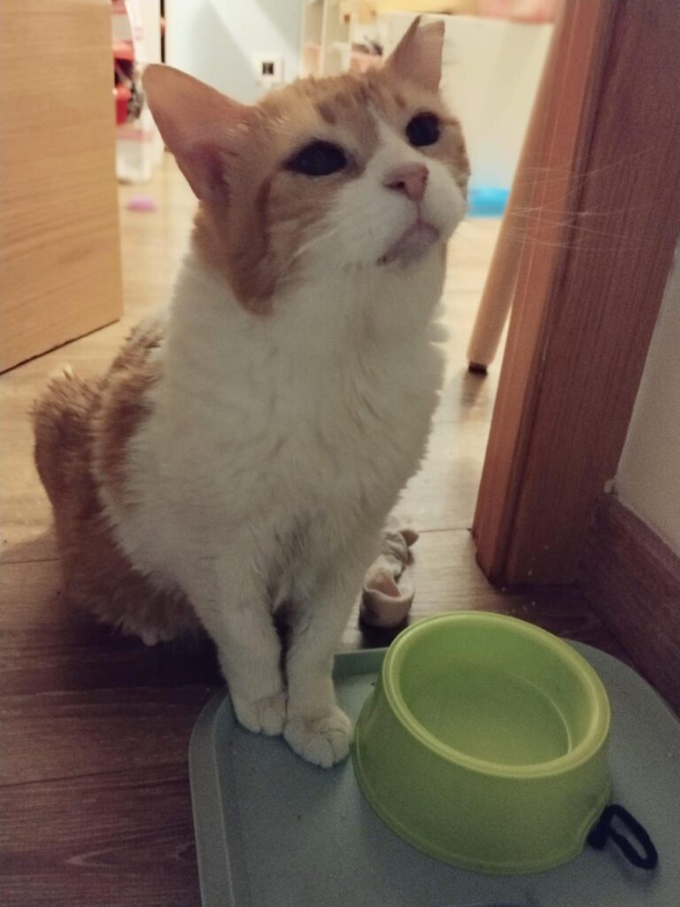 multimedia-foto94192-638-3