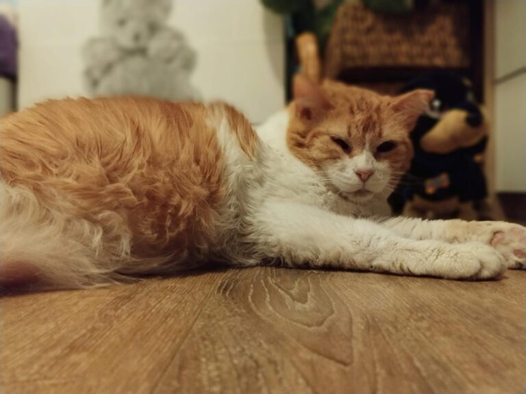 multimedia-foto94193-638-3