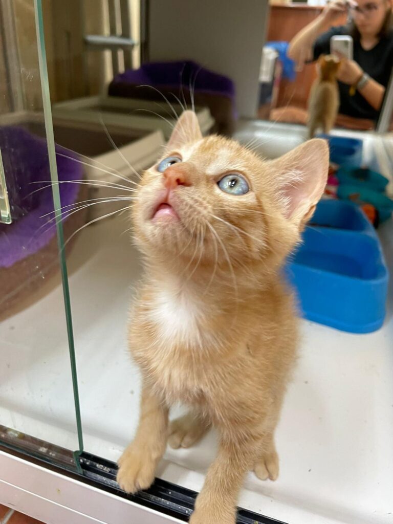 multimedia-foto94198-726-1